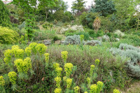 /album/philemons-garten-9-mai-2026/philemons-garten-09-05-2026-17-jpg/